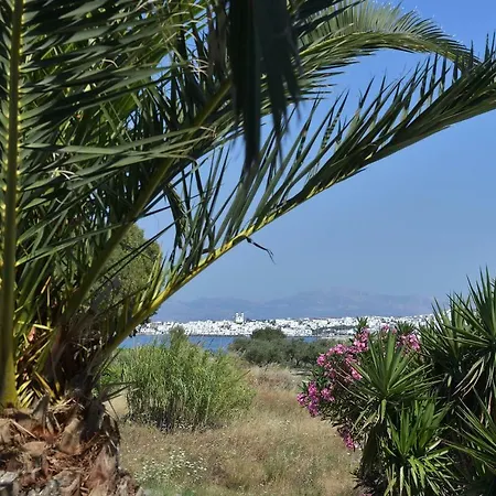 Vila Kolymbithres Seaside